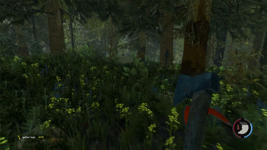 forest2